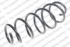 ROC CS7901 Coil Spring